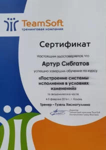 Сертификат Team Soft